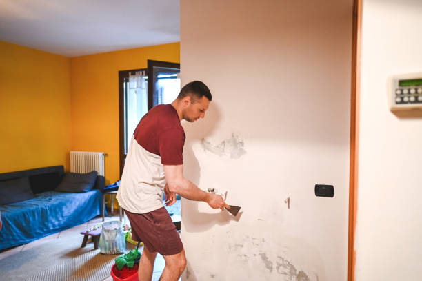 Best Commercial Mold Removal  in Grove City, OH